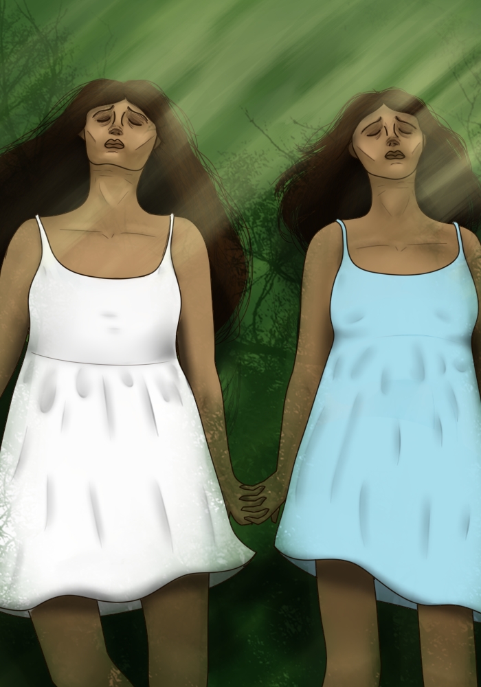  As Gêmeas de Paulo Lopes